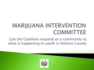MARIJUANA INTERVENTION COMMITTEE Can the Coalition respond as a community to what is happening to youth in Holmes County 