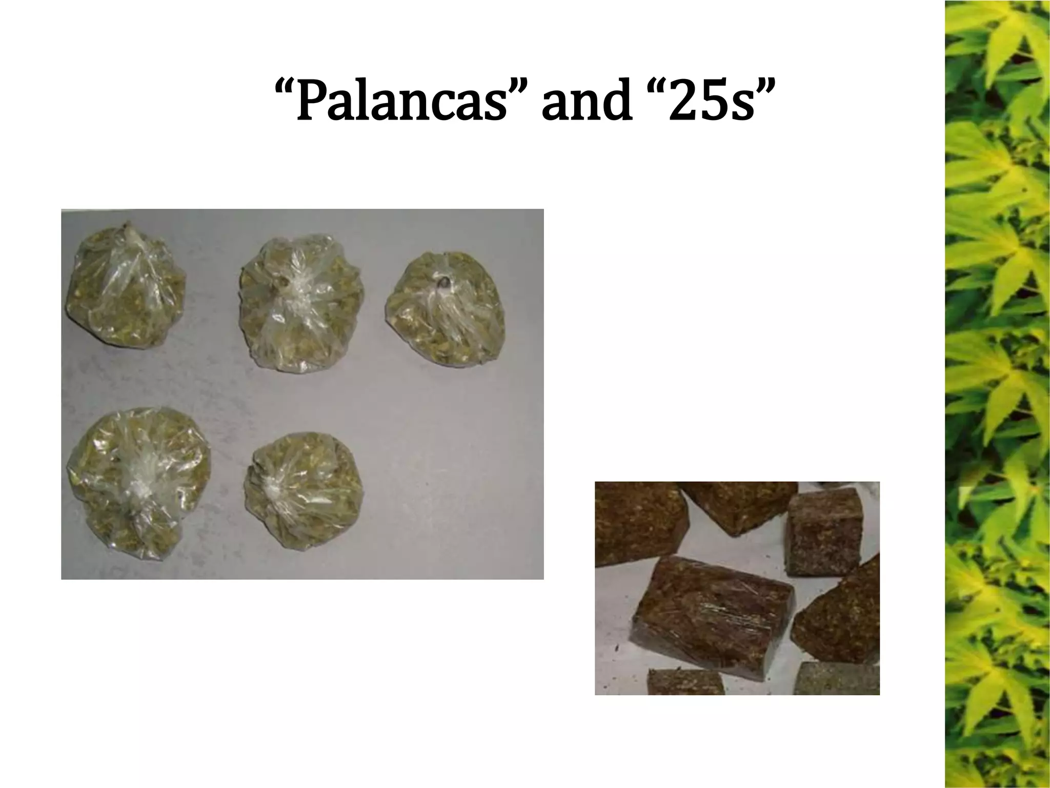 “Palancas” and “25s”
 