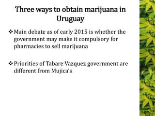 Three ways to obtain marijuana in
Uruguay
Main debate as of early 2015 is whether the
government may make it compulsory for
pharmacies to sell marijuana
Priorities of Tabare Vazquez government are
different from Mujica’s
 