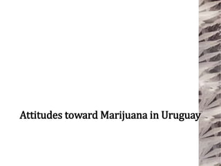 Attitudes toward Marijuana in Uruguay
 