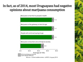 71.8
71.7
71.6
48.5
0.0 20.0 40.0 60.0 80.0
Marijuana is harmful to people's health
Marijuana is the gateway to hard drugs
People will continue buying drugs
Marijuana consumers are a threat to society
Average (0-100)
95 % Confidence Interval
(with Design-Effects)
Source: AmericasBarometer, LAPOP, Uruguay 2014
In fact, as of 2014, most Uruguayans had negative
opinions about marijuana consumption
 