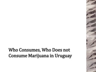 Who Consumes, Who Does not
Consume Marijuana in Uruguay
 