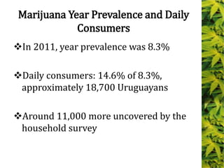 Marijuana Year Prevalence and Daily
Consumers
In 2011, year prevalence was 8.3%
Daily consumers: 14.6% of 8.3%,
approximately 18,700 Uruguayans
Around 11,000 more uncovered by the
household survey
 