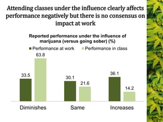 Attending classes under the influence clearly affects
performance negatively but there is no consensus on
impact at work
33.5
30.1
36.1
63.8
21.6
14.2
Diminishes Same Increases
Reported performance under the influence of
marijuana (versus going sober) (%)
Performance at work Performance in class
 