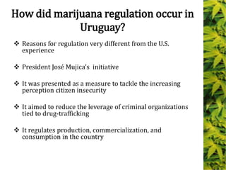 How did marijuana regulation occur in
Uruguay?
 Reasons for regulation very different from the U.S.
experience
 President José Mujica’s initiative
 It was presented as a measure to tackle the increasing
perception citizen insecurity
 It aimed to reduce the leverage of criminal organizations
tied to drug-trafficking
 It regulates production, commercialization, and
consumption in the country
 