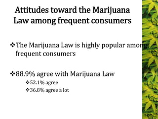 The Marijuana Law is highly popular among
frequent consumers
88.9% agree with Marijuana Law
52.1% agree
36.8% agree a lot
Attitudes toward the Marijuana
Law among frequent consumers
 