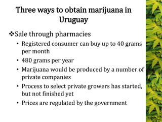Three ways to obtain marijuana in
Uruguay
Sale through pharmacies
• Registered consumer can buy up to 40 grams
per month
• 480 grams per year
• Marijuana would be produced by a number of
private companies
• Process to select private growers has started,
but not finished yet
• Prices are regulated by the government
 