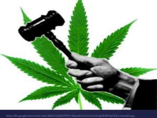 {


https://lh6.googleusercontent.com/-lbJtsLGz3pM/TW5vvSkeaoI/AAAAAAAAGpk/IOjHXpCKjrw/cannabis.jpg
 