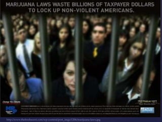 {


http://www.thefreshscent.com/wp-content/post_imgs/1206/marijuana-laws.jpg
 