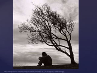 {


http://marijuanaaddictions.net/wp-content/uploads/2012/02/marijuana-addiction.jpg
 