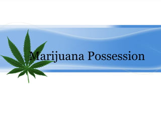 Marijuana Possession
 