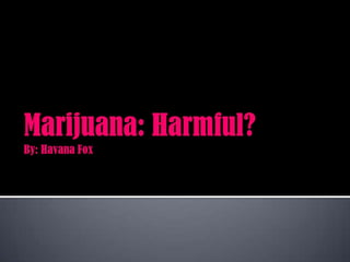 Marijuana: Harmful?By: Havana Fox  