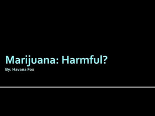 Marijuana: Harmful?By: Havana Fox  