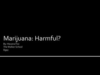 Marijuana: Harmful?By: Havana Fox The Walker School8gpy,[object Object]