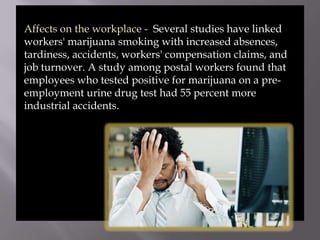Affects on the workplace - Several studies have linked
workers' marijuana smoking with increased absences,
tardiness, accidents, workers' compensation claims, and
job turnover. A study among postal workers found that
employees who tested positive for marijuana on a preemployment urine drug test had 55 percent more
industrial accidents.

 