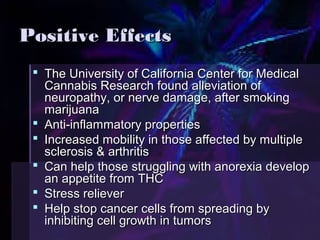 PPoossiittiivvee EEffffeeccttss 
 TThhee UUnniivveerrssiittyy ooff CCaalliiffoorrnniiaa CCeenntteerr ffoorr MMeeddiiccaall 
CCaannnnaabbiiss RReesseeaarrcchh ffoouunndd aalllleevviiaattiioonn ooff 
nneeuurrooppaatthhyy,, oorr nneerrvvee ddaammaaggee,, aafftteerr ssmmookkiinngg 
mmaarriijjuuaannaa 
 AAnnttii--iinnffllaammmmaattoorryy pprrooppeerrttiieess 
 IInnccrreeaasseedd mmoobbiilliittyy iinn tthhoossee aaffffeecctteedd bbyy mmuullttiippllee 
sscclleerroossiiss && aarrtthhrriittiiss 
 CCaann hheellpp tthhoossee ssttrruugggglliinngg wwiitthh aannoorreexxiiaa ddeevveelloopp 
aann aappppeettiittee ffrroomm TTHHCC 
 SSttrreessss rreelliieevveerr 
 HHeellpp ssttoopp ccaanncceerr cceellllss ffrroomm sspprreeaaddiinngg bbyy 
iinnhhiibbiittiinngg cceellll ggrroowwtthh iinn ttuummoorrss 
 