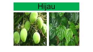 Hijau
 
