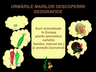 URMǍRILE MARILOR DESCOPERIRI
GEOGRAFICE
Sunt aclimatizate
în Europa
plante (porumbul,
cartoful,
fasolea, tutunul etc.)
şi animale (curcanul);
 