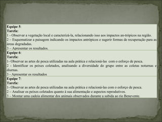 Equipe 5 :  Tarefa: 1 - Observar a vegetação local e caracterizá-la, relacionando isso aos impactos an-trópicos na região. 2 – Esquematizar a paisagem indicando os impactos antrópicos e sugerir formas de recuperação para as áreas degradadas. 3 – Apresentar os resultados. Equipe 6 :  Tarefa: 1- Observar as artes de pesca utilizadas na aula prática e relacioná-las  com o esforço de pesca. 2 - Identificar os peixes coletados, analisando a diversidade do grupo entre as coletas noturnas e diurnas. 3 - Apresentar os resultados Equipe 7 : Tarefa: 1- Observar as artes de pesca utilizadas na aula prática e relacioná-las com o esforço de pesca. 2 – Analisar os peixes coletados quanto à sua alimentação e aspectos reprodutivos. 3 – Montar uma cadeia alimentar dos animais observados durante a subida ao rio Benevente. 