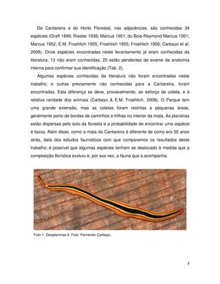 Da   Cantareira   e   do   Horto   Florestal,   nas   adjacências,   são   conhecidas   34 
espécies (Graff 1899; Riester 1938; Marcus 1951; du Bois­Reymond Marcus 1951; 
Marcus 1952; E.M. Froehlich 1955; Froehlich 1955; Froehlich 1956; Carbayo et al. 
2008).   Onze   espécies   encontradas   neste   levantamento   já   eram   conhecidas   da 
literatura; 13 não eram conhecidas; 25 estão pendentes de exame da anatomia 
interna para confirmar sua identificação (Tab. 2). 
   Algumas   espécies   conhecidas   da   literatura   não   foram   encontradas   neste 
trabalho;   e   outras   previamente   não   conhecidas   para   a   Cantareira,   foram 
encontradas. Esta diferença se deve, provavelmente, ao esforço de coleta, e à 
relativa raridade dos animais (Carbayo & E.M. Froehlich, 2008). O Parque tem 
uma   grande   extensão,   mas   as   coletas   foram   restritas   a   pequenas   áreas, 
geralmente perto de bordas de caminhos e trilhas no interior da mata. As planárias 
estão dispersas pelo solo da floresta e a probabilidade de encontrar uma espécie 
é baixa. Além disso, como a mata da Cantareira é diferente de como era 50 anos 
atrás,   data   dos   estudos   faunísticos   com   que   comparamos   os   resultados   deste 
trabalho; é possível que algumas espécies tenham se deslocado à medida que a 
composição florística evoluiu e, por sua vez, a fauna que a acompanha.  




   Foto 1. Geoplaninae 6. Foto: Fernando Carbayo.




                                                                                             5
 
