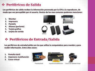 Marilin diaz 10977568