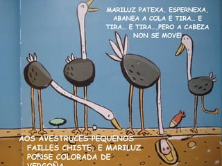 AOS AVESTRUCES PEQUENOS FAILLES CHISTE, E MARILUZ PONSE COLORADA DE VERGOÑA MARILUZ PATEXA, ESPERNEXA, ABANEA A COLA E TIRA… E TIRA… E TIRA…,PERO A CABEZA NON SE MOVE! 
