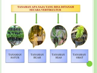 TANAMAN APA SAJA YANG BISA DITANAM
SECARA VERTIKULTUR
TANAMAN
SAYUR
TANAMAN
BUAH
TANAMAN
HIAS
TANAMAN
OBAT
 