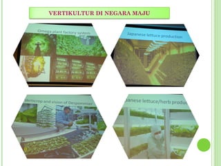 VERTIKULTUR DI NEGARA MAJU
 