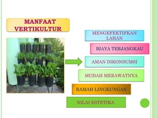 BIAYA TERJANGKAU
MENGEFEKTIFKAN
LAHAN
AMAN DIKONSUMSI
MUDAH MERAWATNYA
RAMAH LINGKUNGAN
MANFAAT
VERTIKULTUR
NILAI ESTETIKA
 