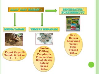 Pupuk Organik,
Tanah, & Sekam
1 : 1 : 1
Bambu
Polibag
Pot plastik
Pipa paralon
Botol plastik
Kaleng
bekas
dsb…
Sawi
Bayam
Kangkung
Tomat
Cabe
Terong
dsb…
 