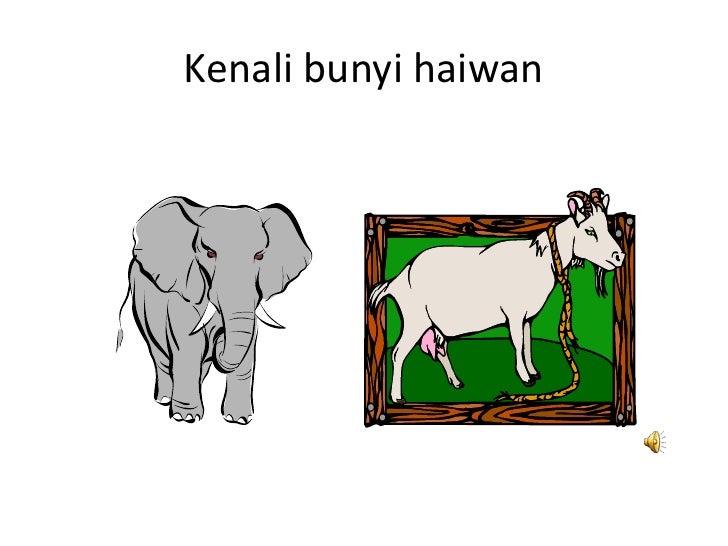 Mari mengenal bunyi haiwan