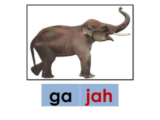 ga jah
 