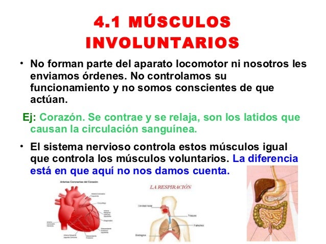 MARINA. LA FUNCIÓN DE RELACIÓN