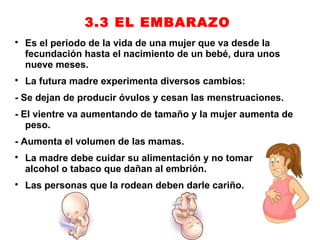 3.3 EL EMBARAZO

    Es el periodo de la vida de una mujer que va desde la
    fecundación hasta el nacimiento de un bebé, dura unos
    nueve meses.

    La futura madre experimenta diversos cambios:
- Se dejan de producir óvulos y cesan las menstruaciones.
- El vientre va aumentando de tamaño y la mujer aumenta de
   peso.
- Aumenta el volumen de las mamas.

    La madre debe cuidar su alimentación y no tomar
    alcohol o tabaco que dañan al embrión.

    Las personas que la rodean deben darle cariño.
 