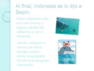 Al final, Indonesia se lo dijo a
Sepín.
Sepín pensaba que
era una broma y
seguía yendo los
sábados a ver a
Amanda.
Jandro empezó a
verse con otros
amigos suyos,
como la langosta
Simón o el cangrejo
Humberto...
 