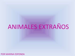 ANIMALES EXTRAÑOS POR MARINA ESPONDA 