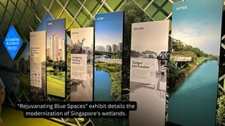 “Rejuvanating Blue Spaces” exhibit details the
modernization of Singapore's wetlands.
 