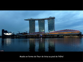 Musée en forme de fleur de lotus au pied de l’hôtel
 