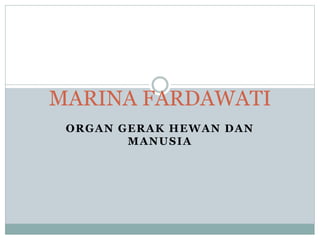 ORGAN GERAK HEWAN DAN
MANUSIA
MARINA FARDAWATI
 