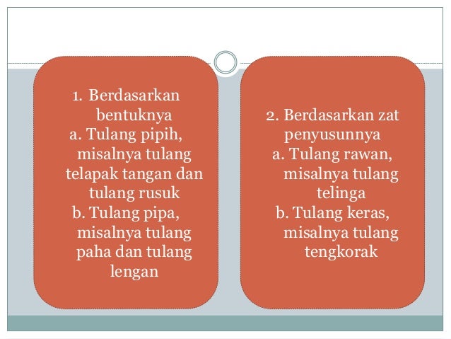 Organ Gerak Hewan Dan Manusia