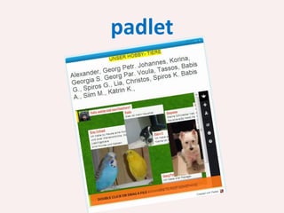 padlet

 