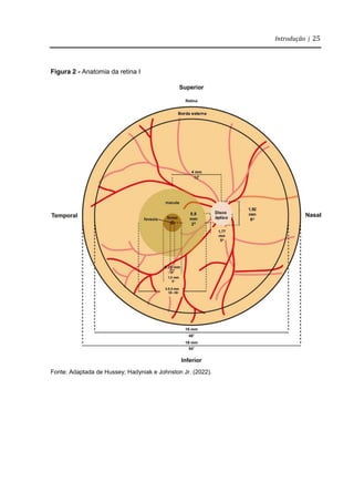 Introdução | 25
Figura 2 - Anatomia da retina I
Fonte: Adaptada de Hussey; Hadyniak e Johnston Jr. (2022).
 