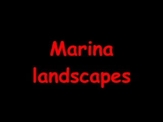 Marina
landscapes
 