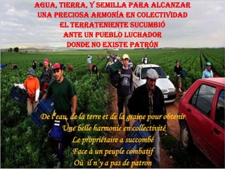 Agua, tierra, y semilla para alcanzar
Una preciosa armonía en colectividad
El terrateniente sucumbió
Ante un pueblo luchador
Donde no existe patrón

De l’eau, de la terre et de la graine pour obtenir
Une belle harmonie en collectivité
Le propriétaire a succombé
Face à un peuple combatif
Où il n’y a pas de patron

 