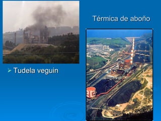 Térmica de aboño Tudela veguin 