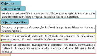 Objectivos
Analisar o processo de extracção de clorofila como estratégia didáctica em aulas
experimentais de Fisiologia Vegetal, na Escola Básica da Cerâmica.
Desenvolver habilidades investigativas e científicas nos alunos, incentivando a
realização de experimentos relacionados a extracção de clorofila nas aulas de
Biologia.
Objectivo geral
Objectivo específicos
Descrever os processos de extracção de clorofila a partir de diferentes técnicas e
espécies vegetais.
Realizar experimentos de extracção de clorofila em contextos de escolas com
poucos recursos, utilizando materiais localmente acessíveis
 