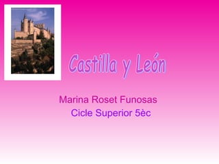 Marina Roset Funosas  Cicle Superior 5èc Castilla y León 