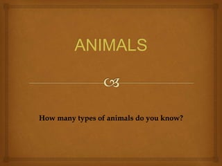 How many types of animals do you know?
 