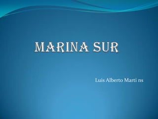 Luis Alberto Marti ns
 