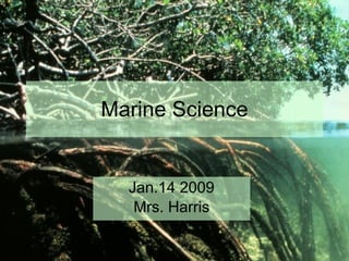 Marine Science Jan.14 2009 Mrs. Harris 